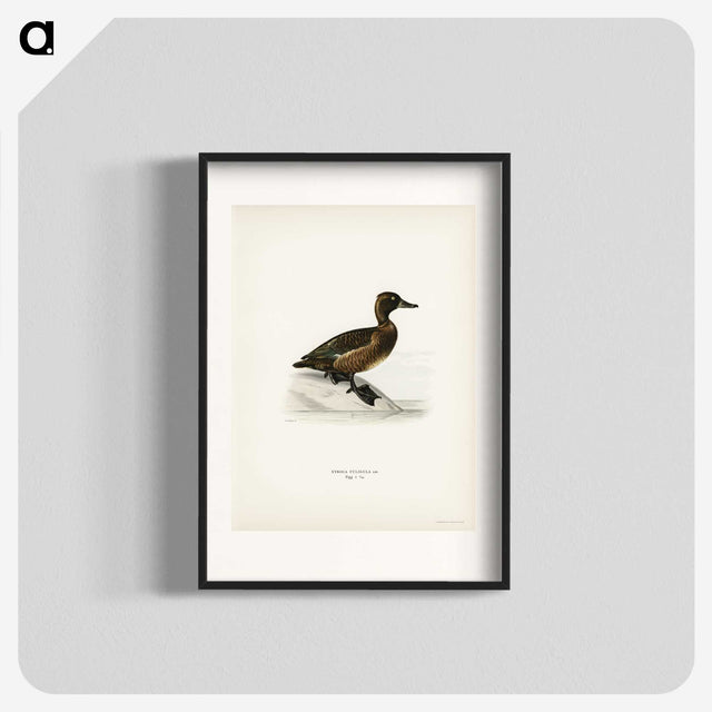 3-10_Svenska-Faglar_blk