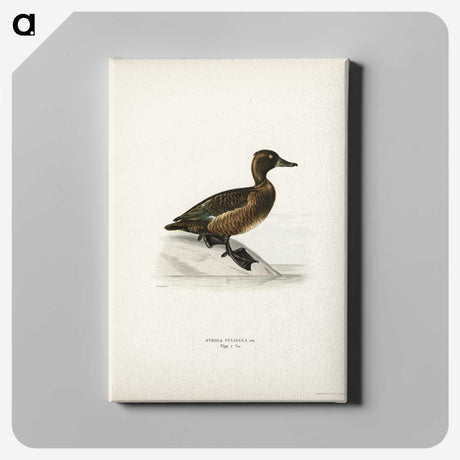 3-10_Svenska-Faglar_canvas
