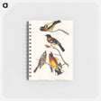 アートメモ帳-Evening Grosbeak and Spotted Grosbeak from Birds of America
 - アメリカの鳥たち Memo.