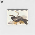 アートメモ帳-New Holland Darter
 - オーストラリアの鳥 Memo.