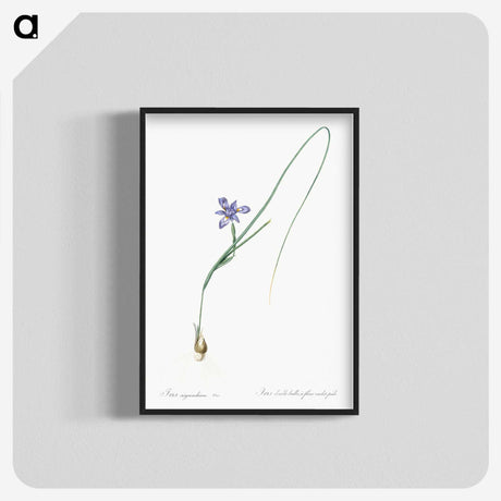 3-10_The-Lilies_blk-crop