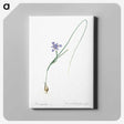 3-10_The-Lilies_canvas