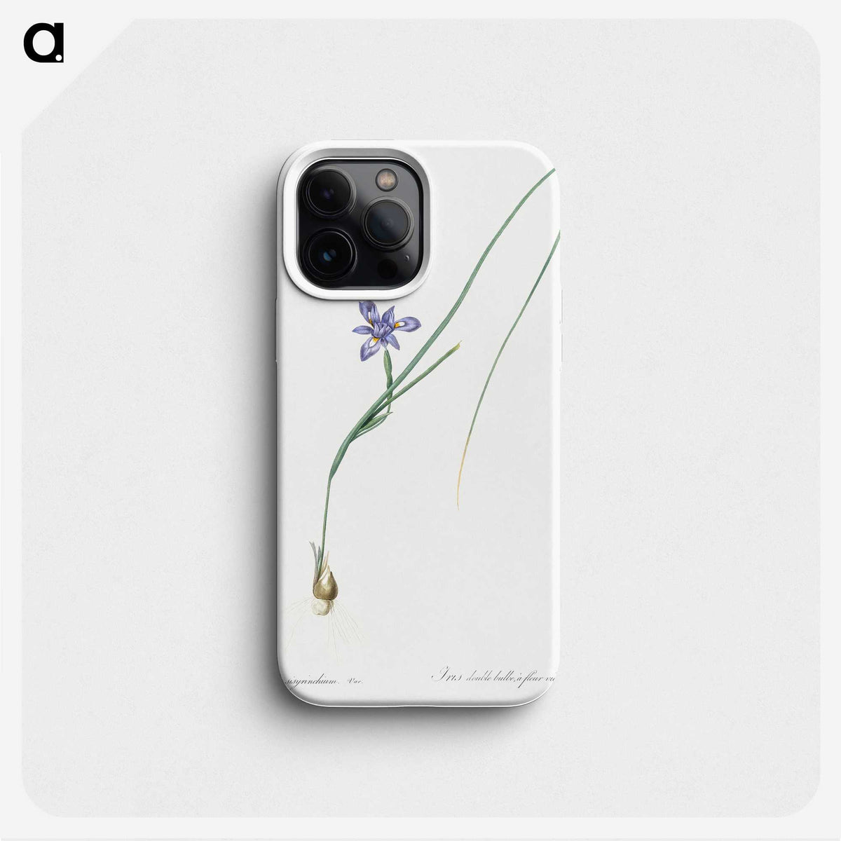 3-10_The-Lilies_phone