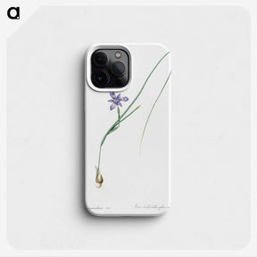 3-10_The-Lilies_phone