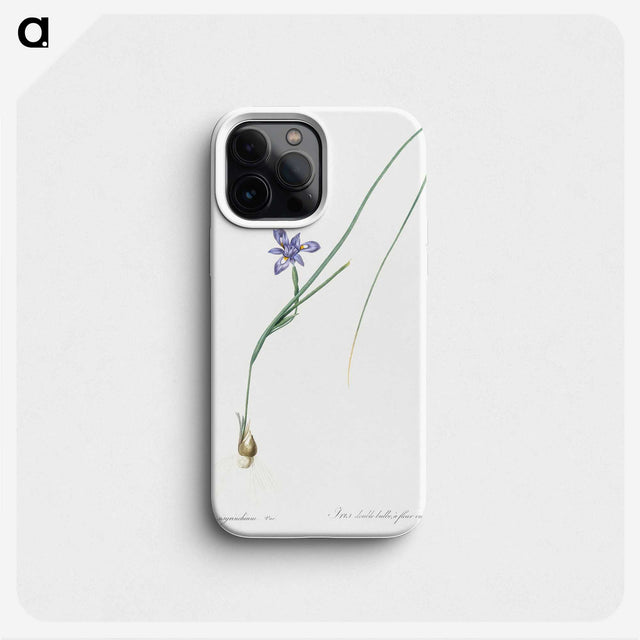 3-10_The-Lilies_phone