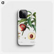 3-10_Treatise-on-Trees-and-Shrubs_phone