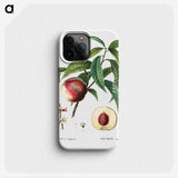 3-10_Treatise-on-Trees-and-Shrubs_phone
