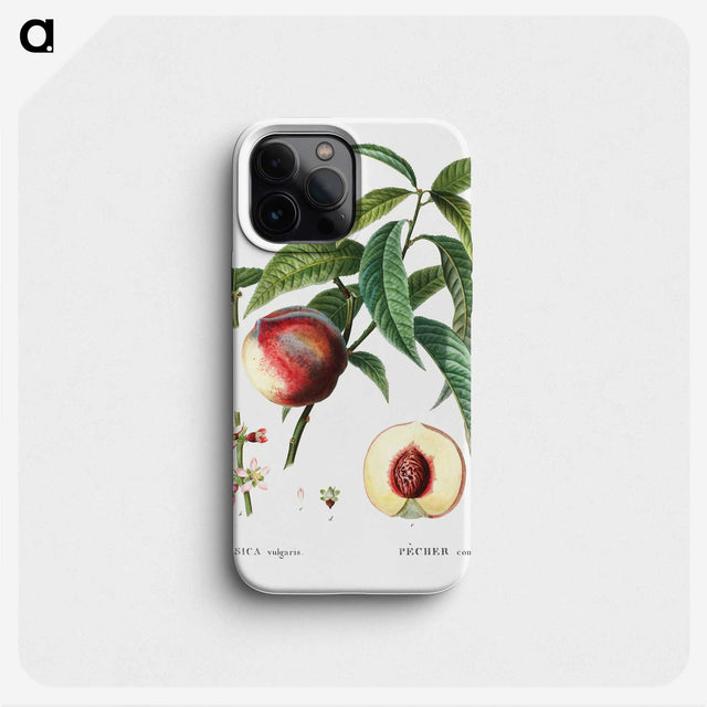 3-10_Treatise-on-Trees-and-Shrubs_phone