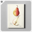 3-10_USDA-Watercolor-Fruit-Painting-Collection_canvas