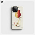 3-10_USDA-Watercolor-Fruit-Painting-Collection_phone