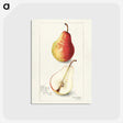 3-10_USDA-Watercolor-Fruit-Painting-Collection_postcard