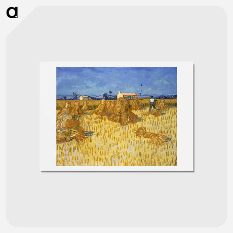 アートポストカード-Harvest in Provence - フィンセント ファン ゴッホ Postcard.