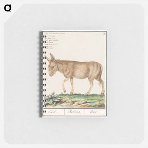 アートメモ帳-Donkey - アンセルムス ボエティウス デ ブート Memo.