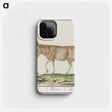 3-11_Anselmus-Boetius-de-Boodt_phone
