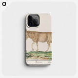 Donkey - アンセルムス ボエティウス デ ブート Phone Case.