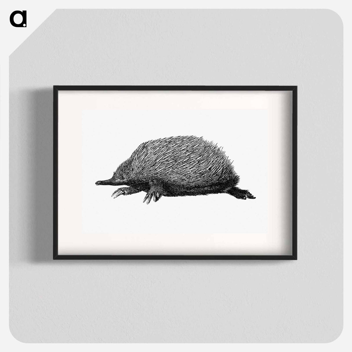 アートポスター-Anteater
 - 大英図書館 Poster.