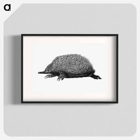 アートポスター-Anteater
 - 大英図書館 Poster.