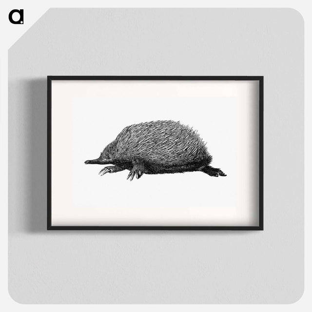 アートポスター-Anteater
 - 大英図書館 Poster.