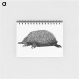 アートメモ帳-Anteater
 - 大英図書館 Memo.