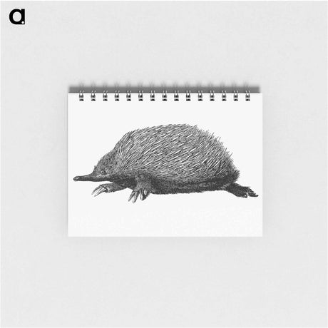アートメモ帳-Anteater
 - 大英図書館 Memo.