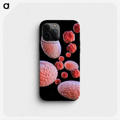 3-11_COVID-19_phone