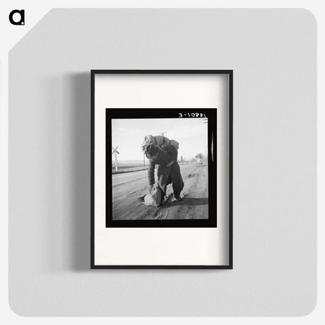 3-11_Dorothea-Lange_blk