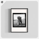 Untitled photo - Dorothea Lange Poster.