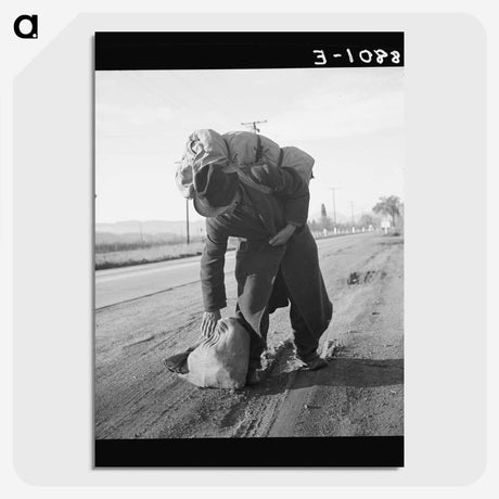 3-11_Dorothea-Lange_picture-crop