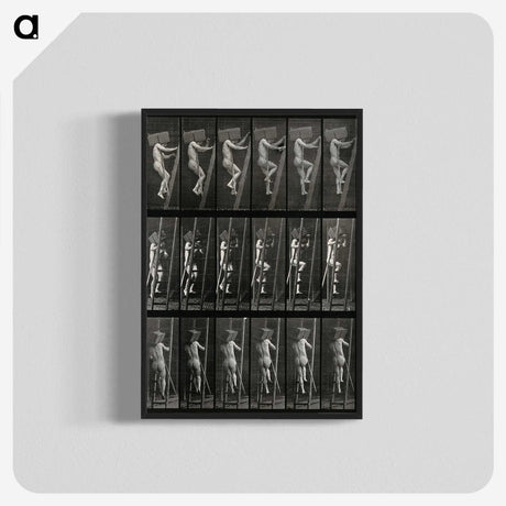 3-11_Eadweard-Muybridge_blk-crop
