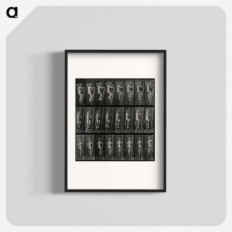 3-11_Eadweard-Muybridge_blk