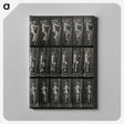 3-11_Eadweard-Muybridge_canvas