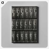 3-11_Eadweard-Muybridge_canvas