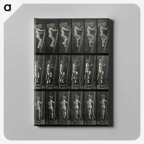 3-11_Eadweard-Muybridge_canvas