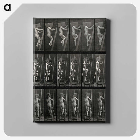 3-11_Eadweard-Muybridge_canvas
