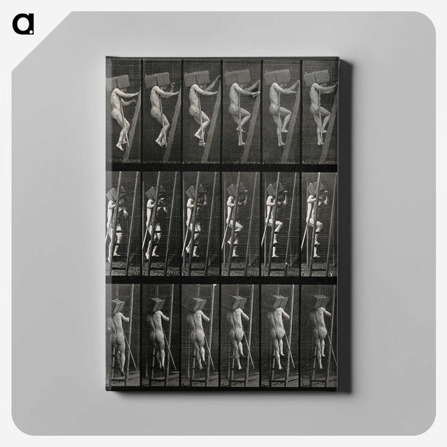 3-11_Eadweard-Muybridge_canvas
