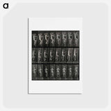 アートポストカード-The Burdened Climber
 - エドワード マイブリッジ Postcard.