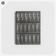 3-11_Eadweard-Muybridge_memo
