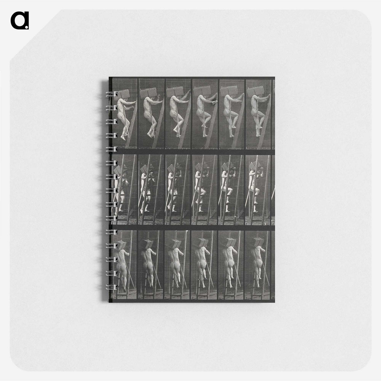 3-11_Eadweard-Muybridge_memo