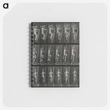 3-11_Eadweard-Muybridge_memo