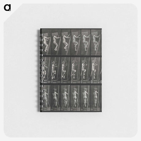 3-11_Eadweard-Muybridge_memo