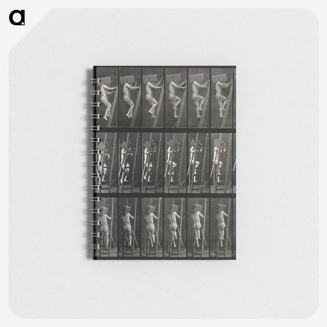 3-11_Eadweard-Muybridge_memo