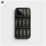 3-11_Eadweard-Muybridge_phone
