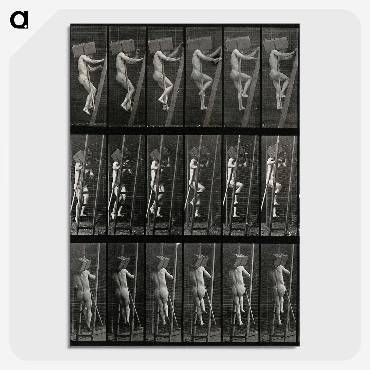 3-11_Eadweard-Muybridge_picture-crop