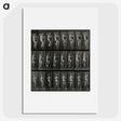 3-11_Eadweard-Muybridge_picture