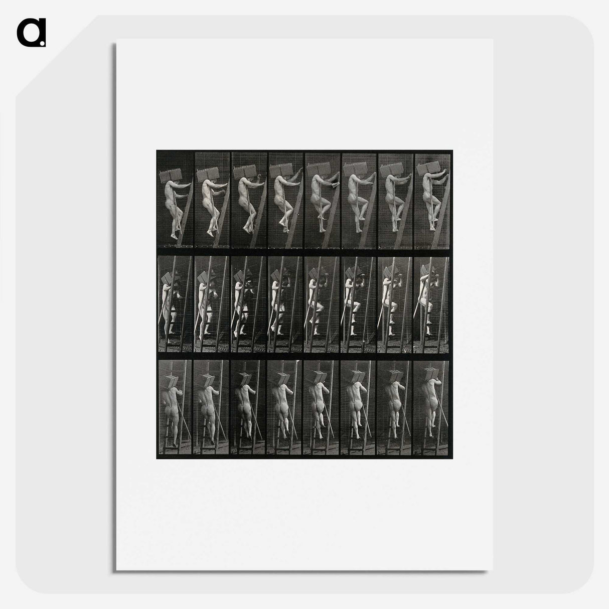 3-11_Eadweard-Muybridge_picture