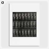 3-11_Eadweard-Muybridge_picture