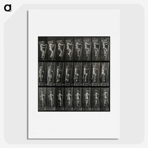 3-11_Eadweard-Muybridge_picture