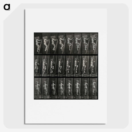 3-11_Eadweard-Muybridge_picture