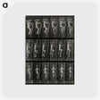 3-11_Eadweard-Muybridge_postcard
