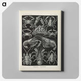 3-11_Ernst-Haeckel_canvas